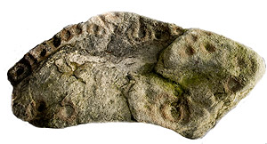 Web-21.-Rock-Art-1